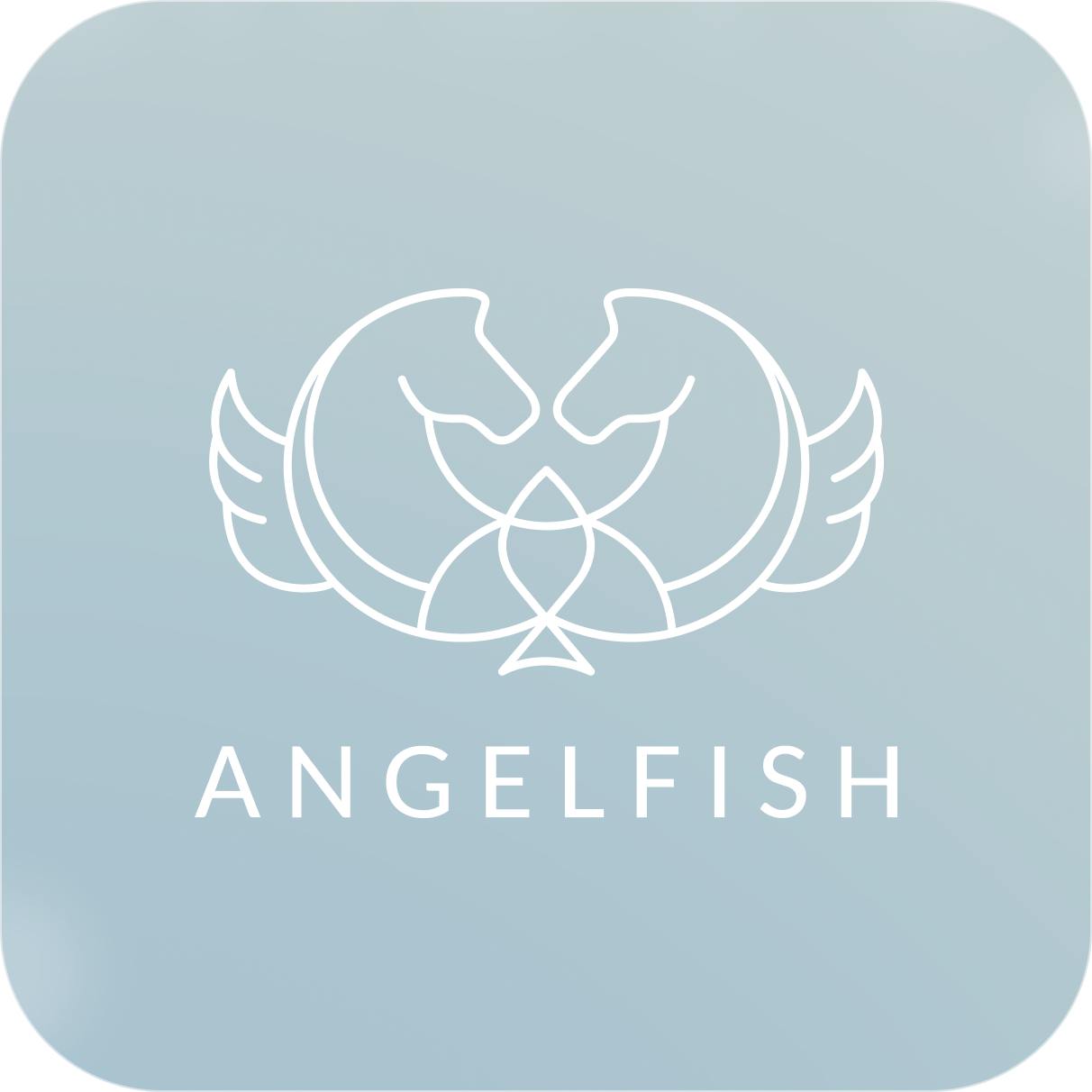 Angelfish ltd.